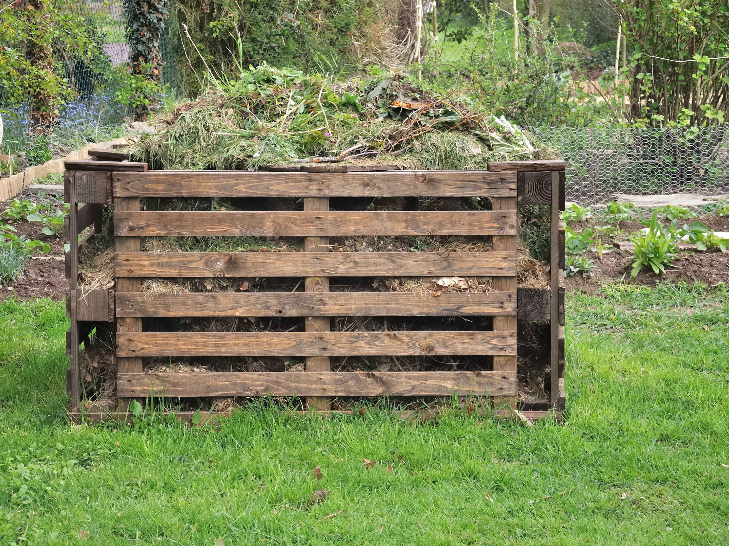 Traditional wooden pallet compost bin in a Suffolk garden